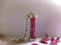 "Its time we all reach out for something new"